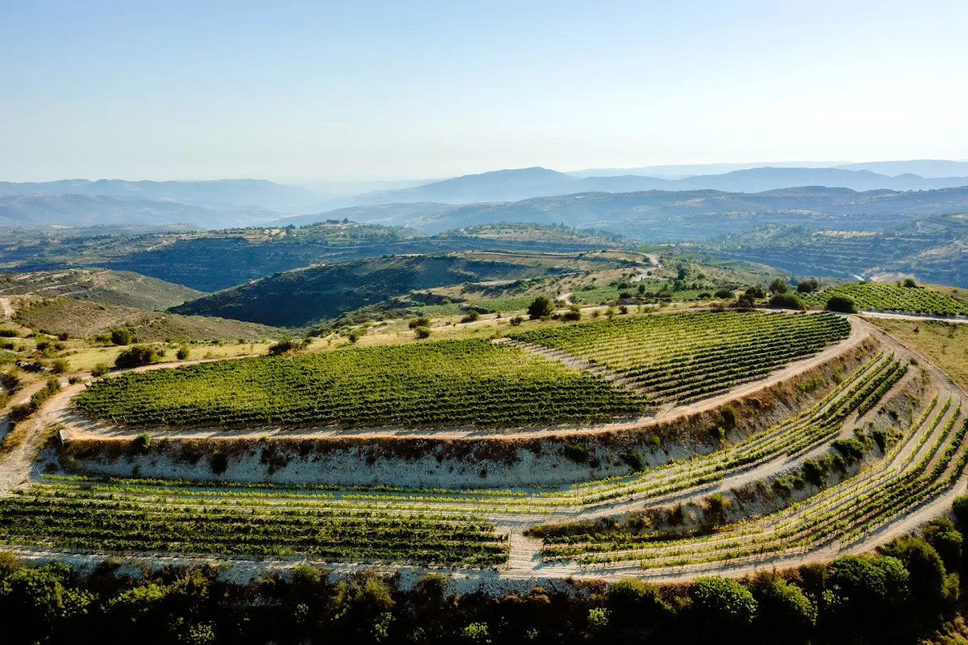 Argyrides Winery