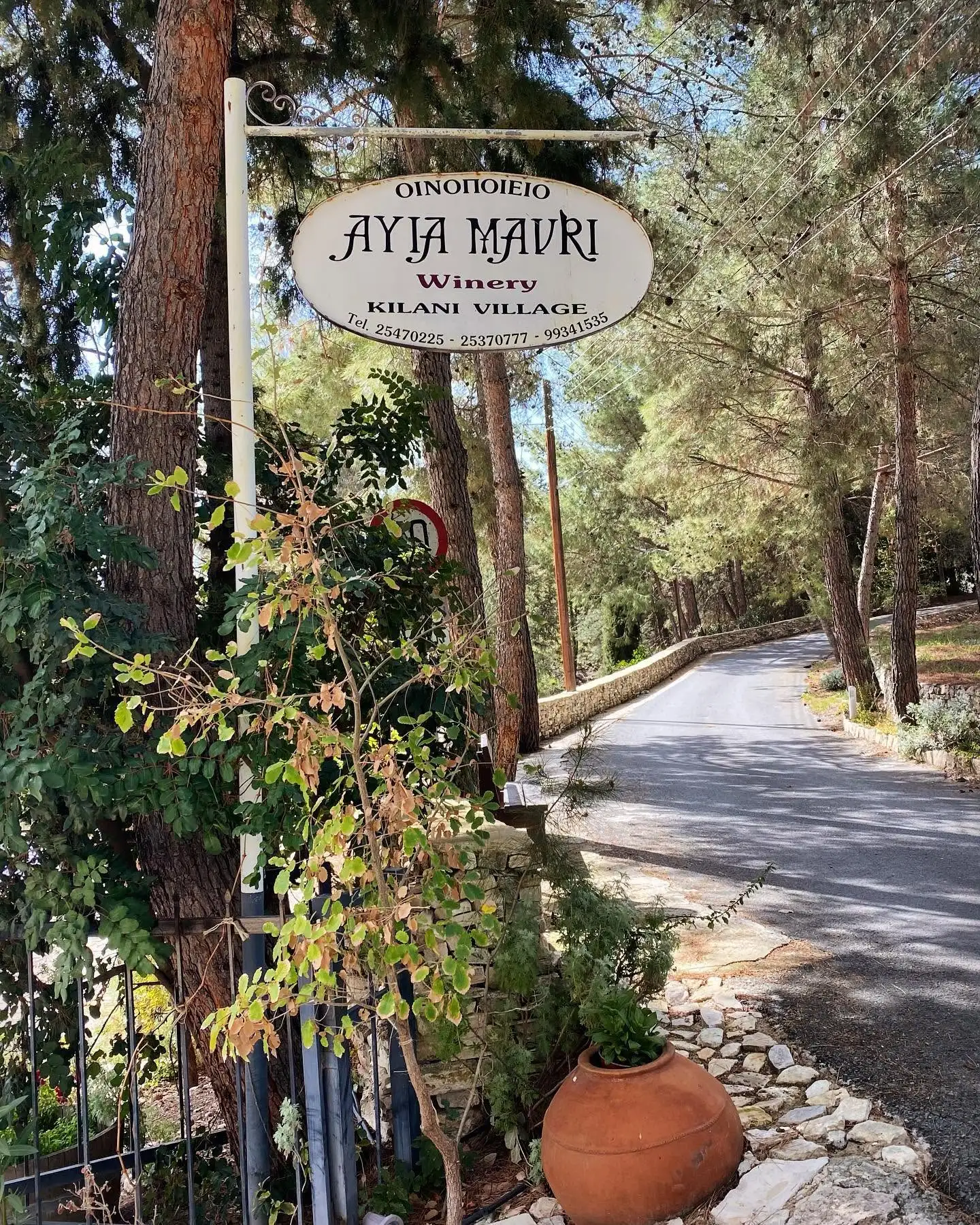 Ayia Mavri Winery
