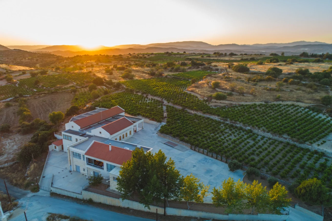 Yiaskouris Winery