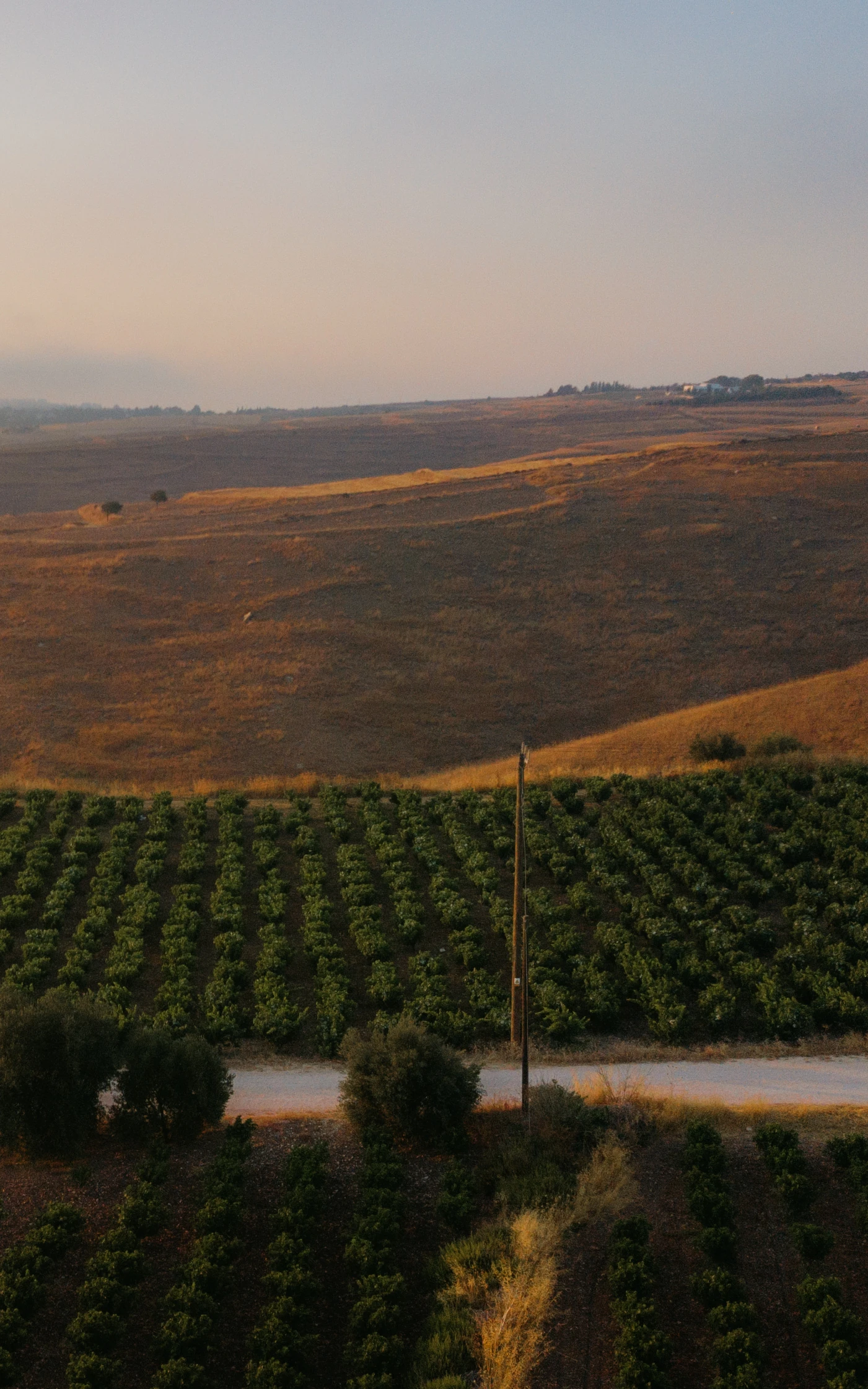 Vasilikon Winery