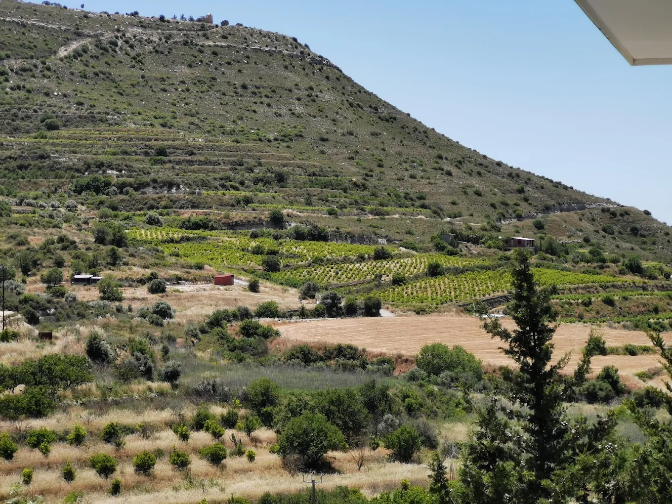 Zambartas Wineries
