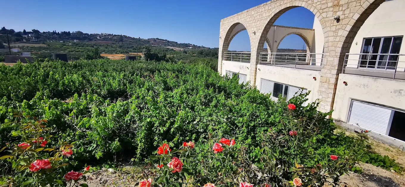 SODAP Winery