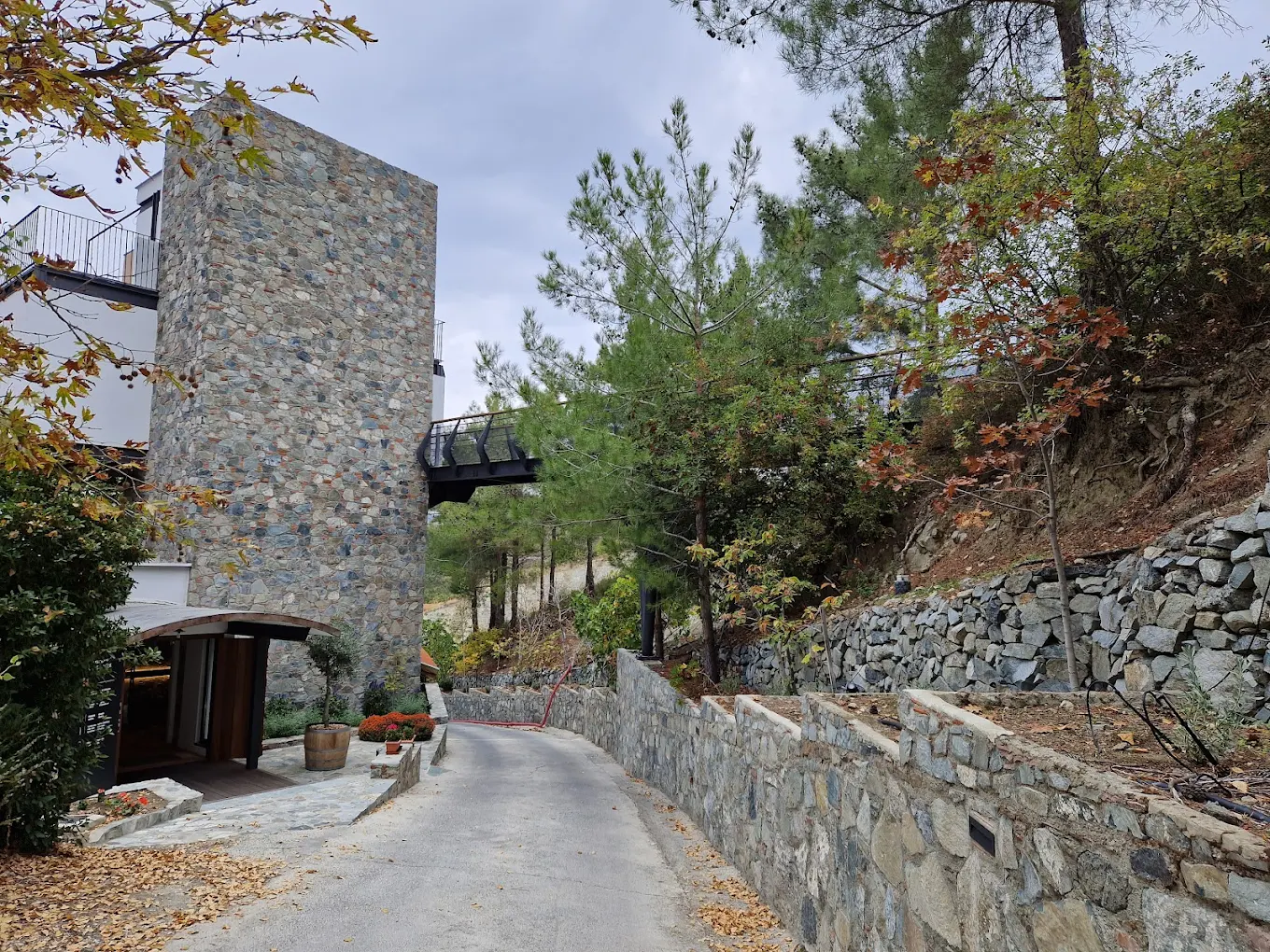 Tsiakkas Winery
